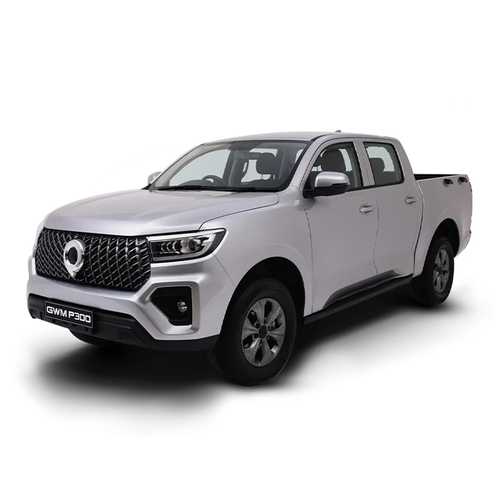 2.0T Double Cab SX 2WD MT