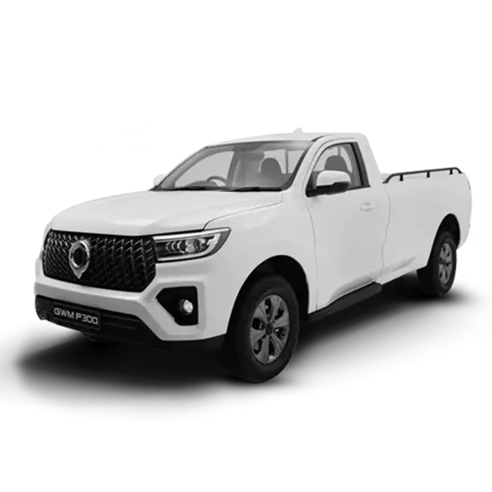 2.0T Single Cab SX 4WD MT
